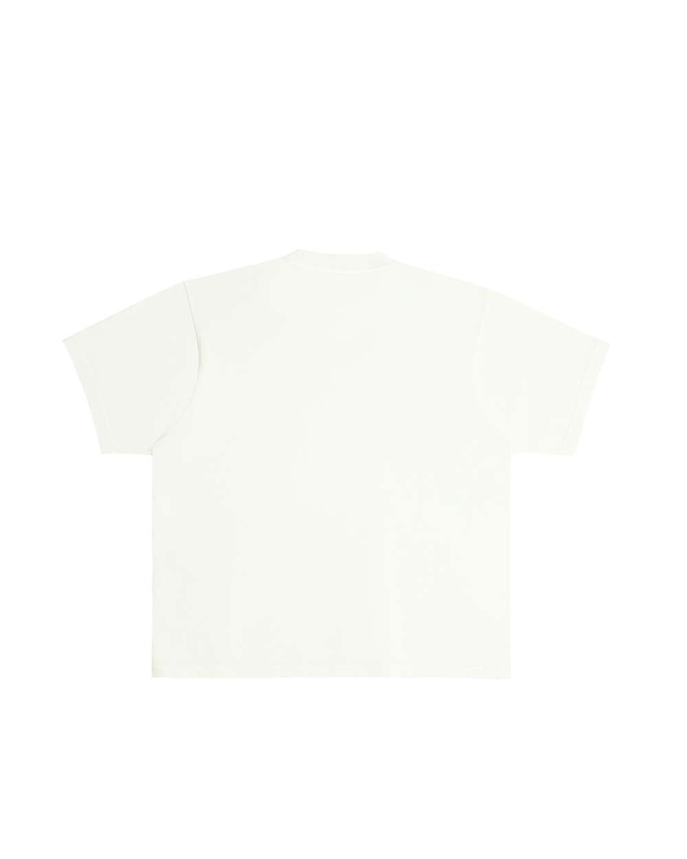 Lane Seven LS16005 Pistachio