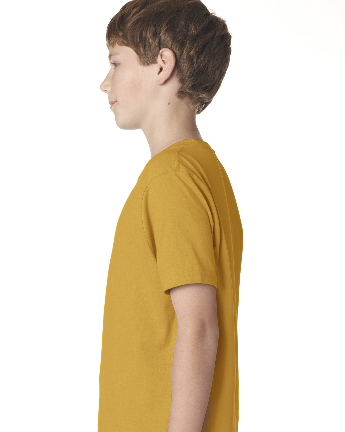 Next Level 3310 Antique Gold