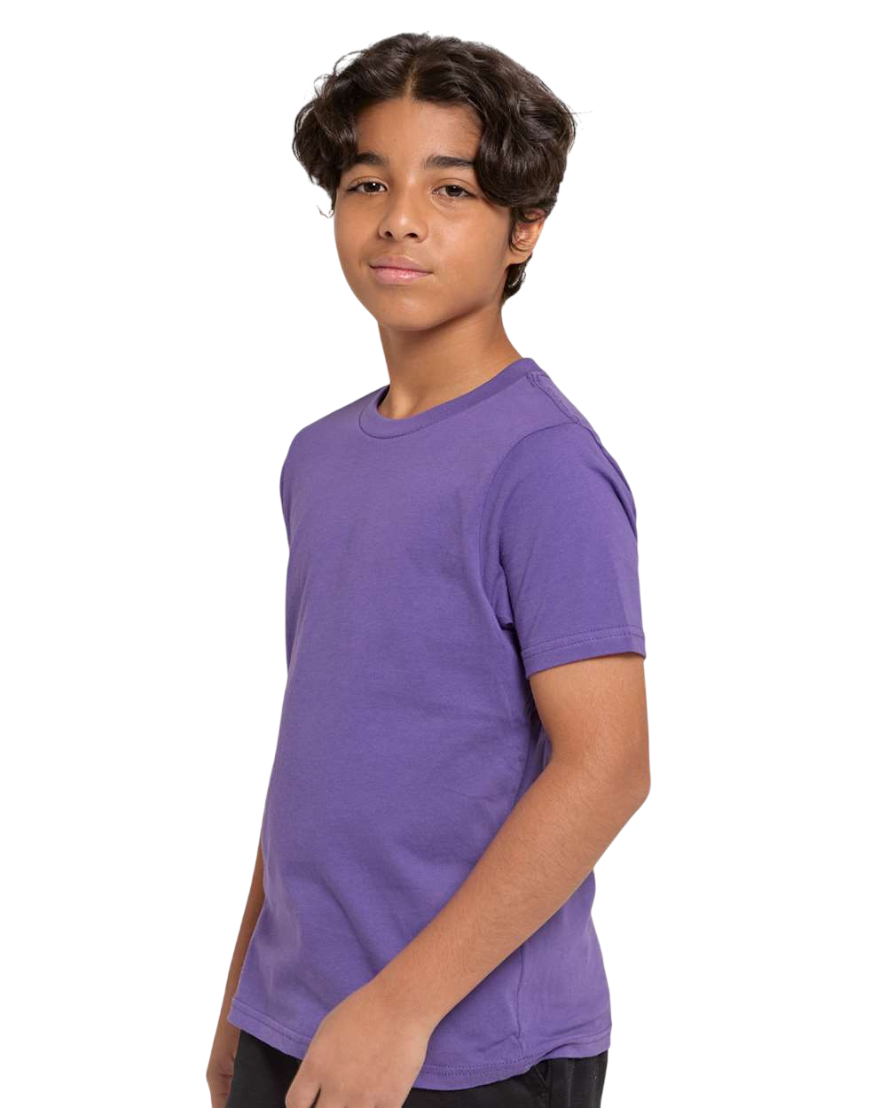 Threadfast Apparel T1000B Purple