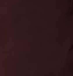 Bella + Canvas 3001C Oxblood