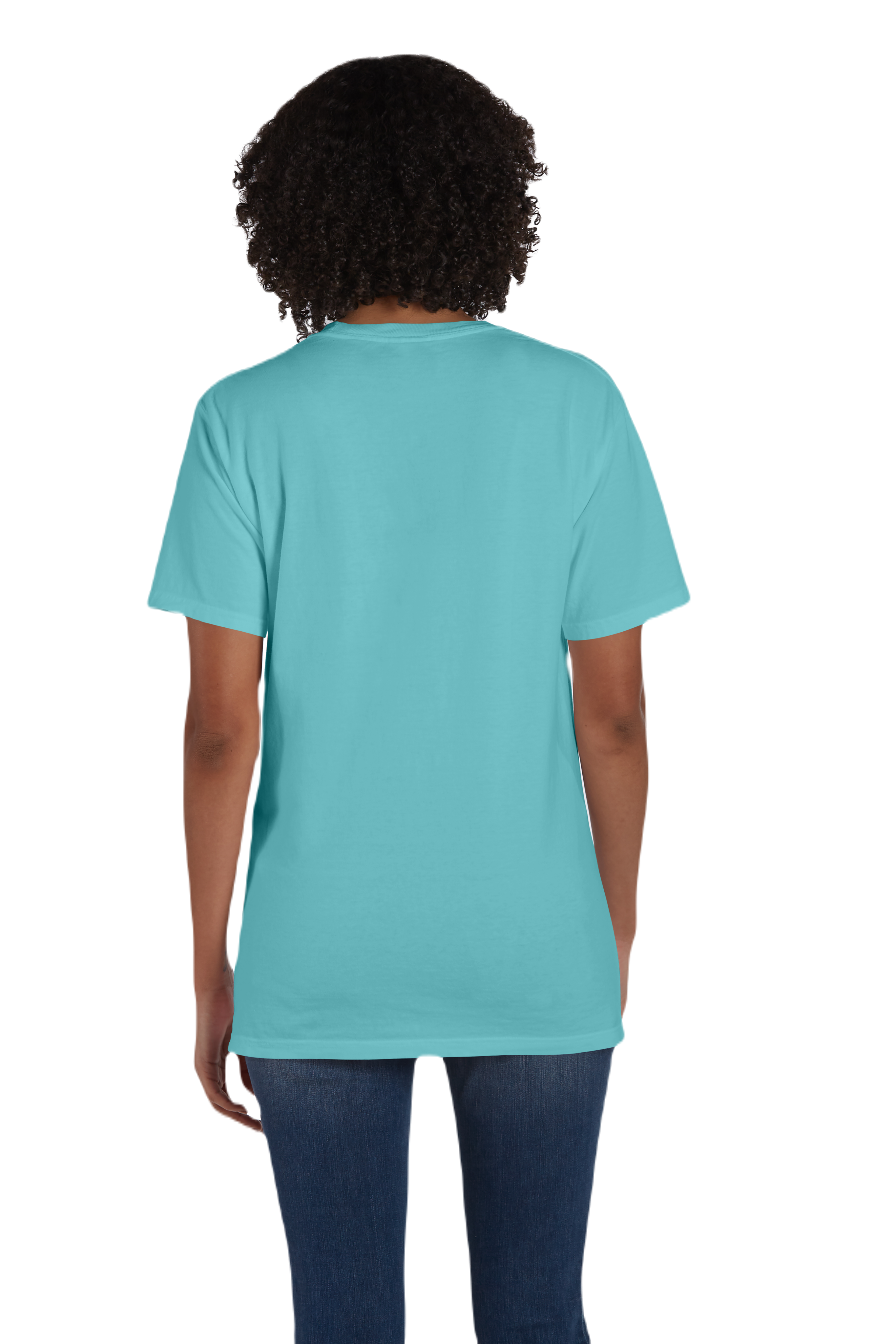 ComfortWash by Hanes GDH150 Mint