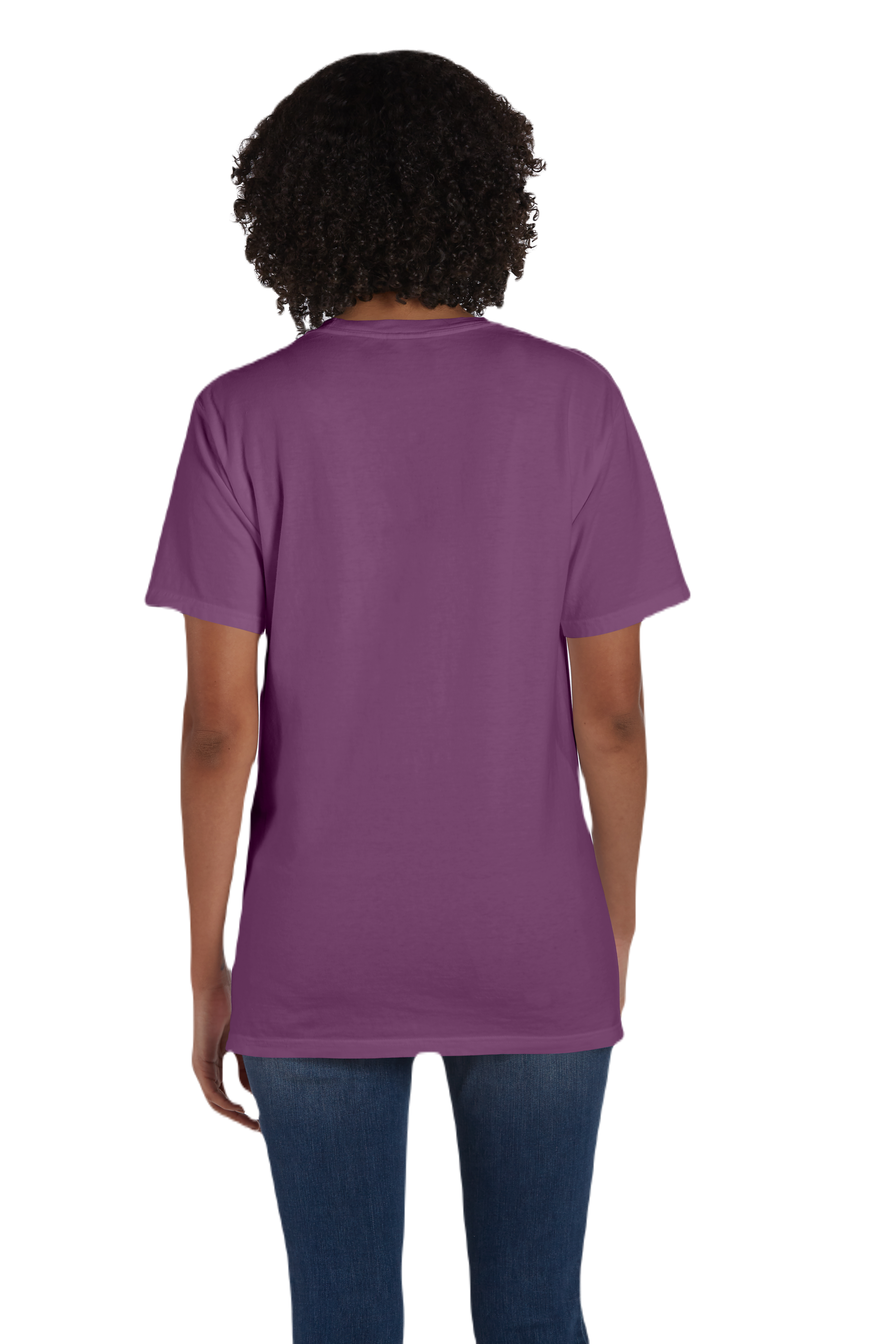 ComfortWash by Hanes GDH150 Purple Plm Raisn