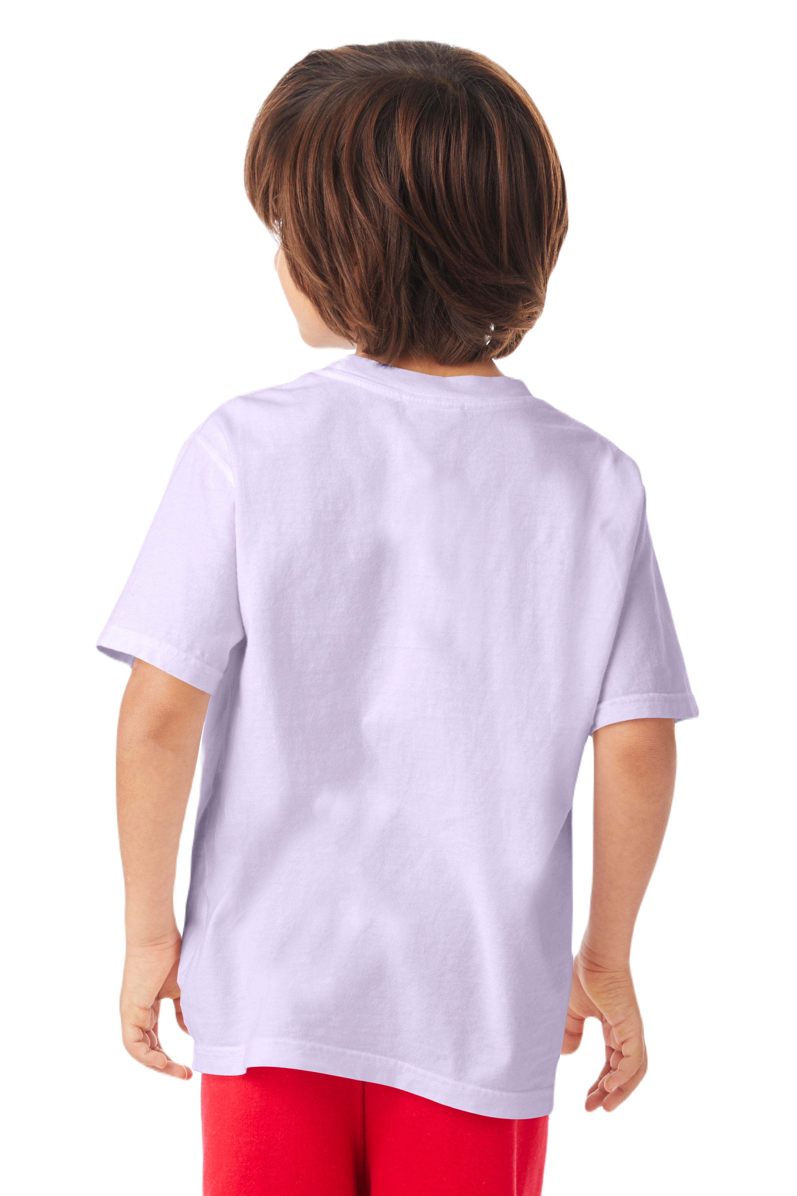 ComfortWash by Hanes GDH175 Future Lavender