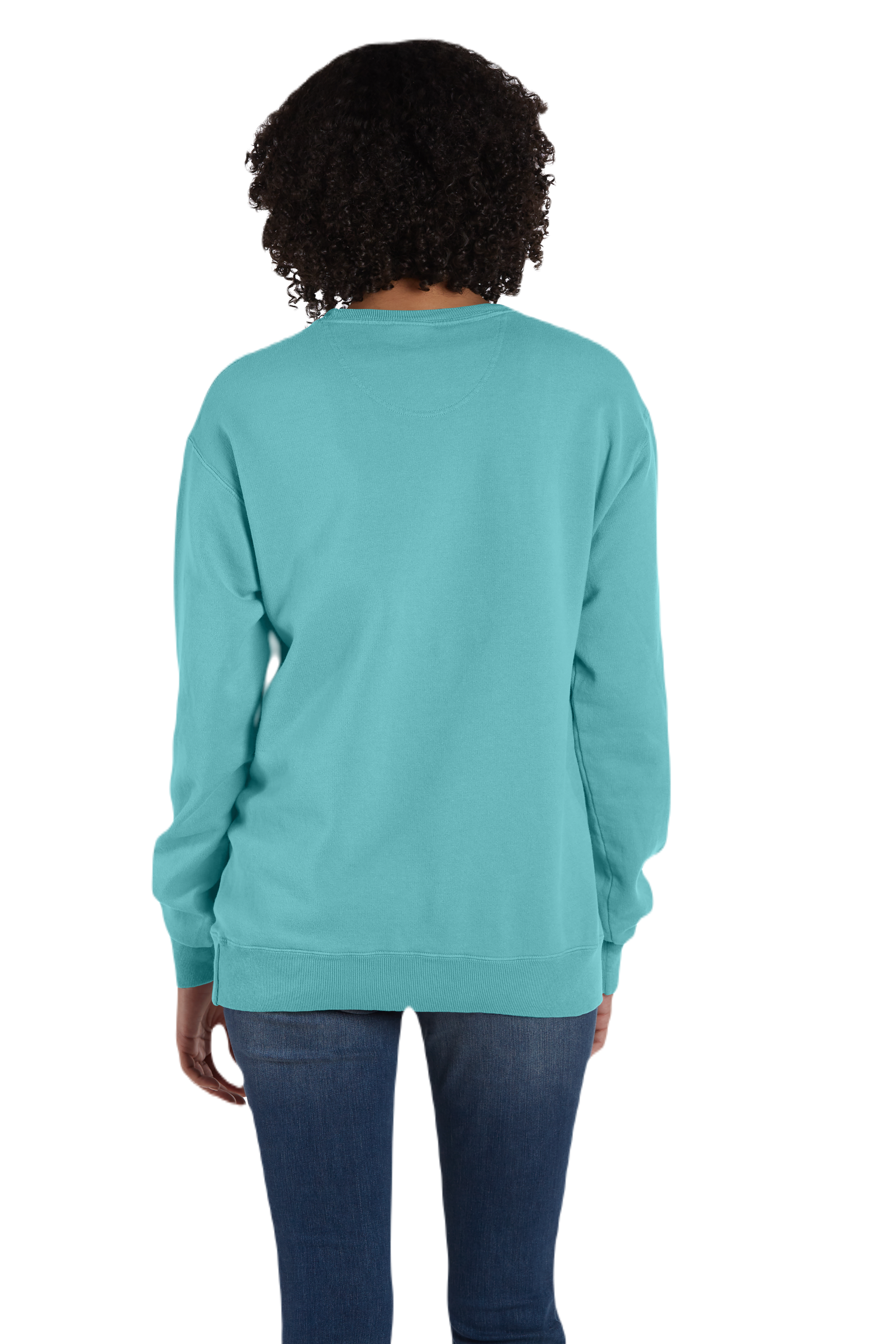 ComfortWash by Hanes GDH400 Mint