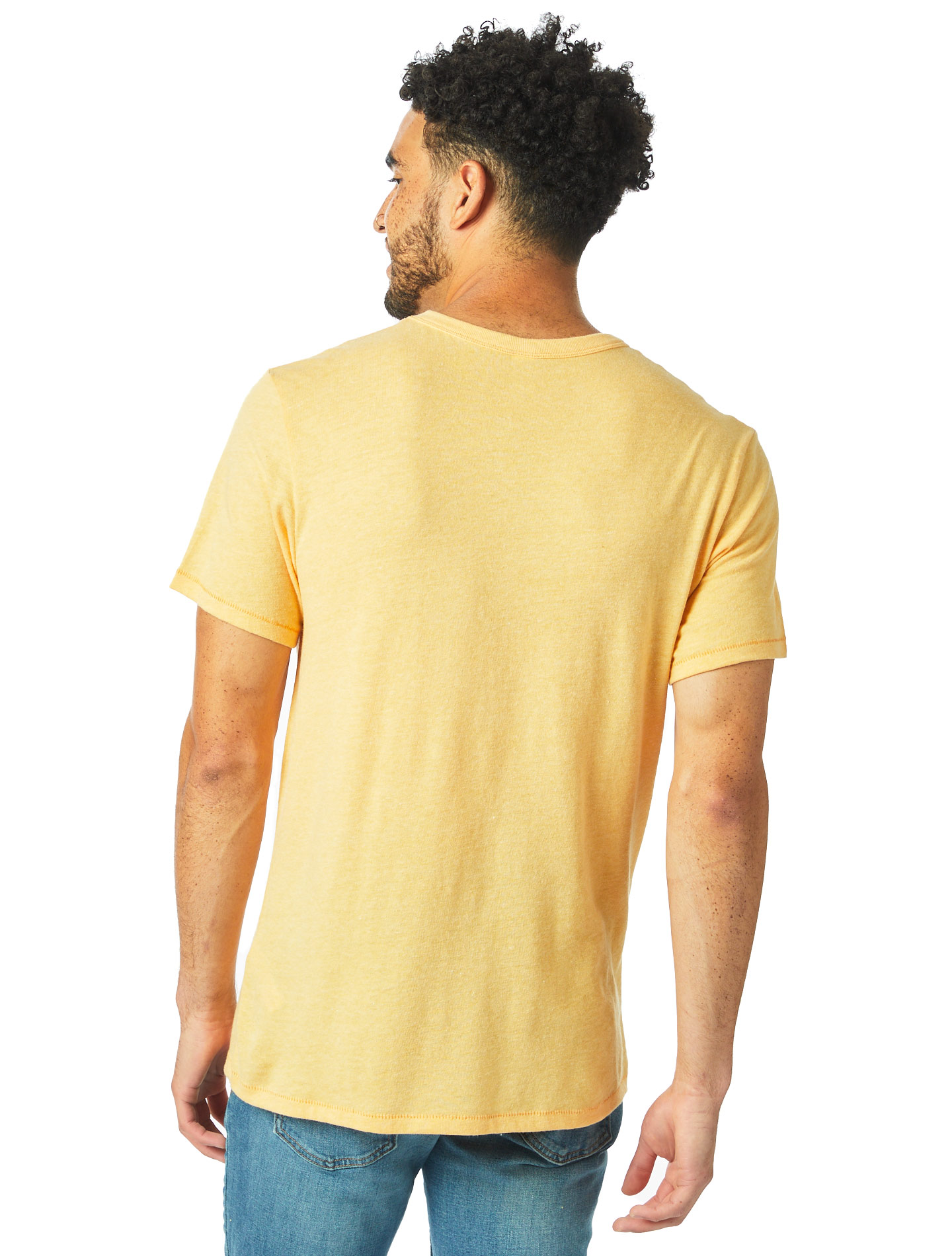 Alternative 05050BP Maize