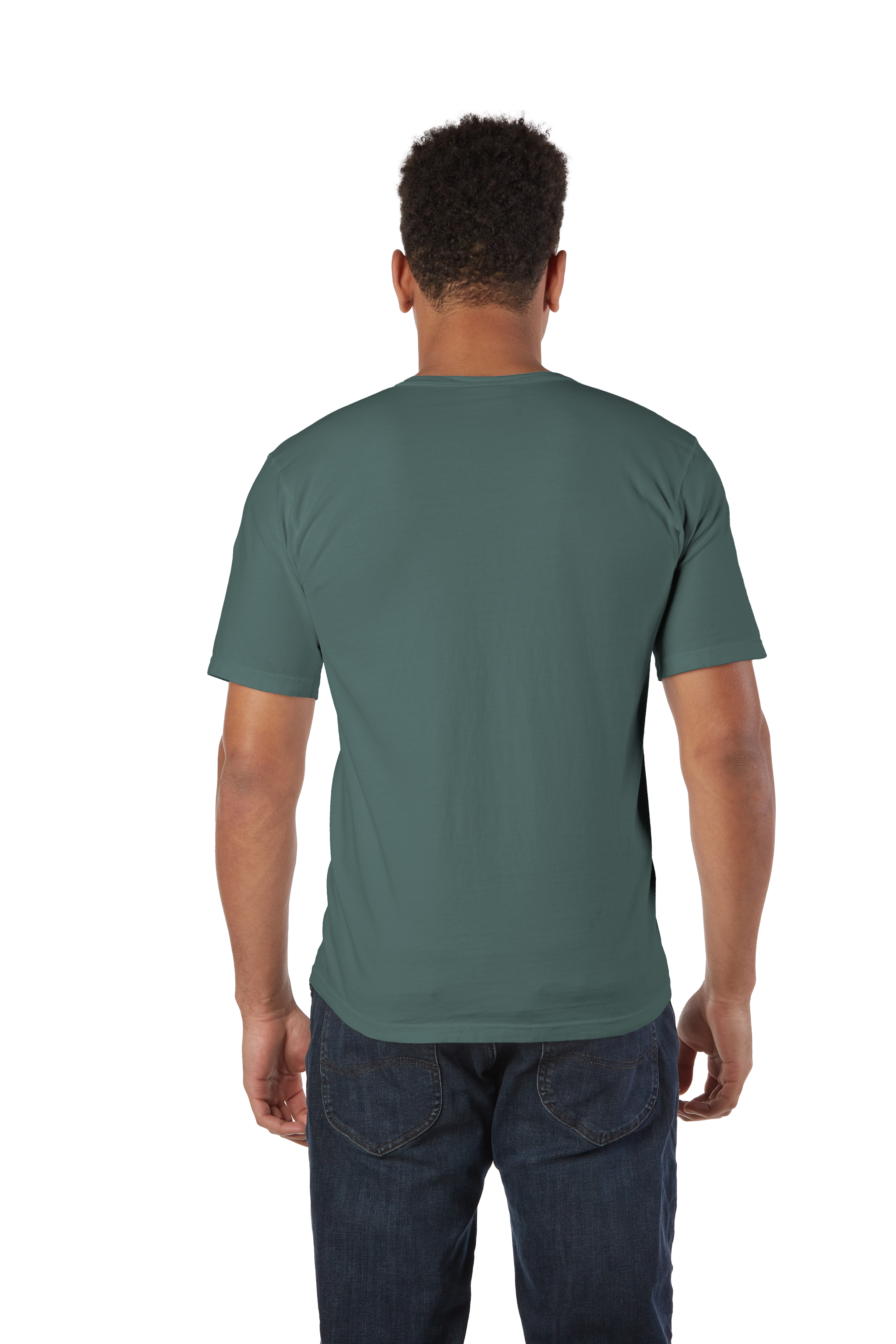 Champion CD100J1 Cactus