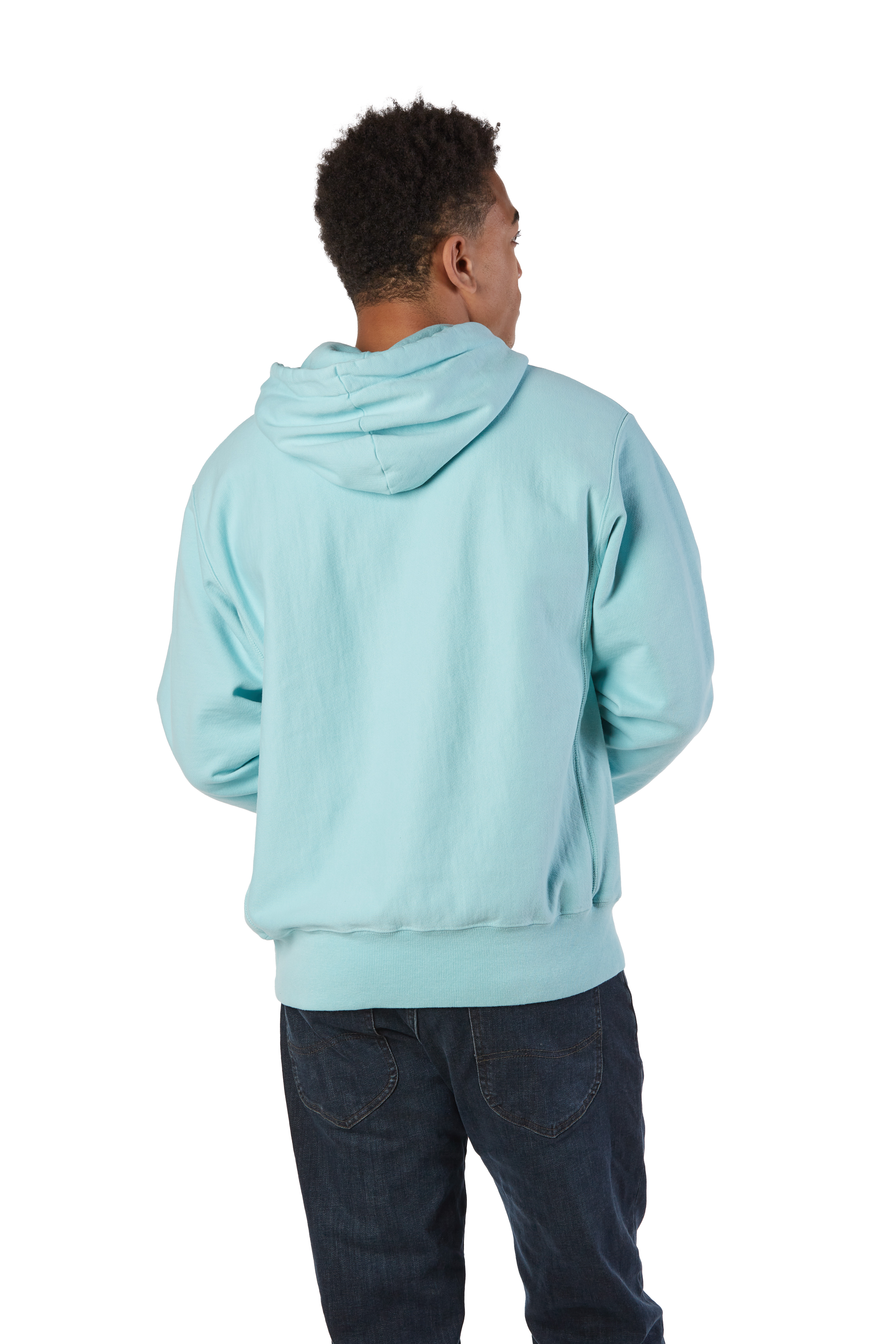 Champion GDS101 Paleseafm