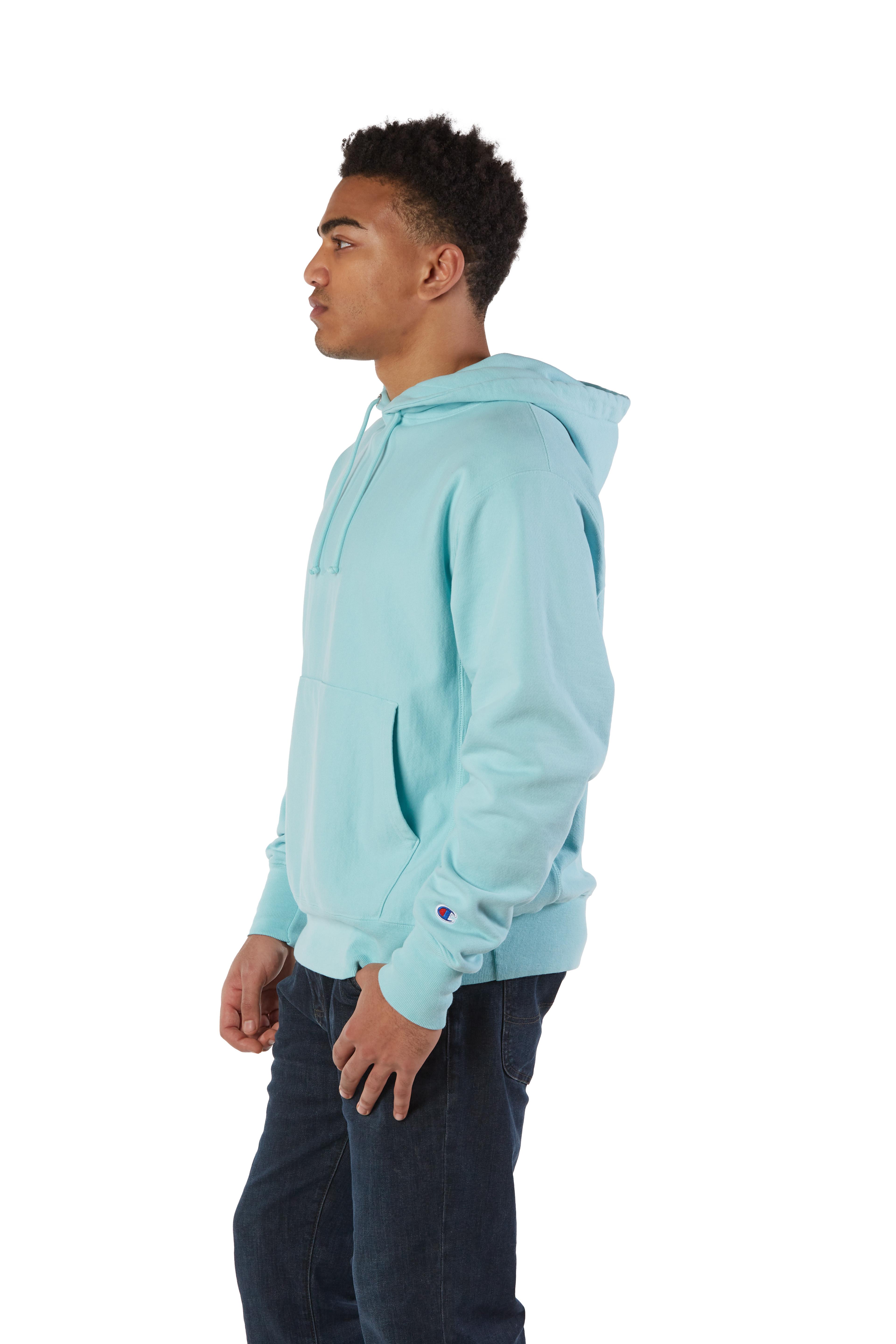 Champion GDS101 Paleseafm