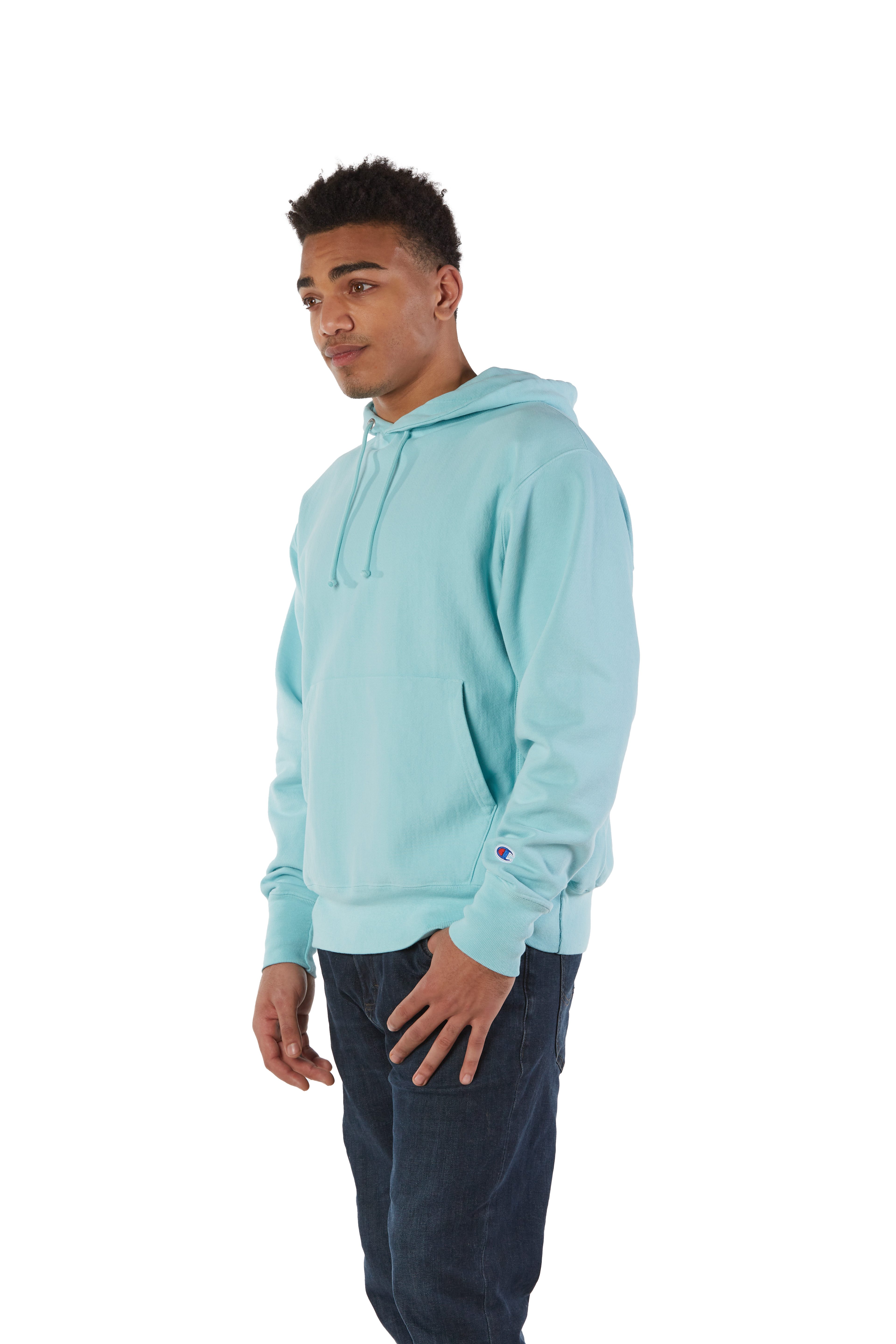 Champion GDS101 Paleseafm