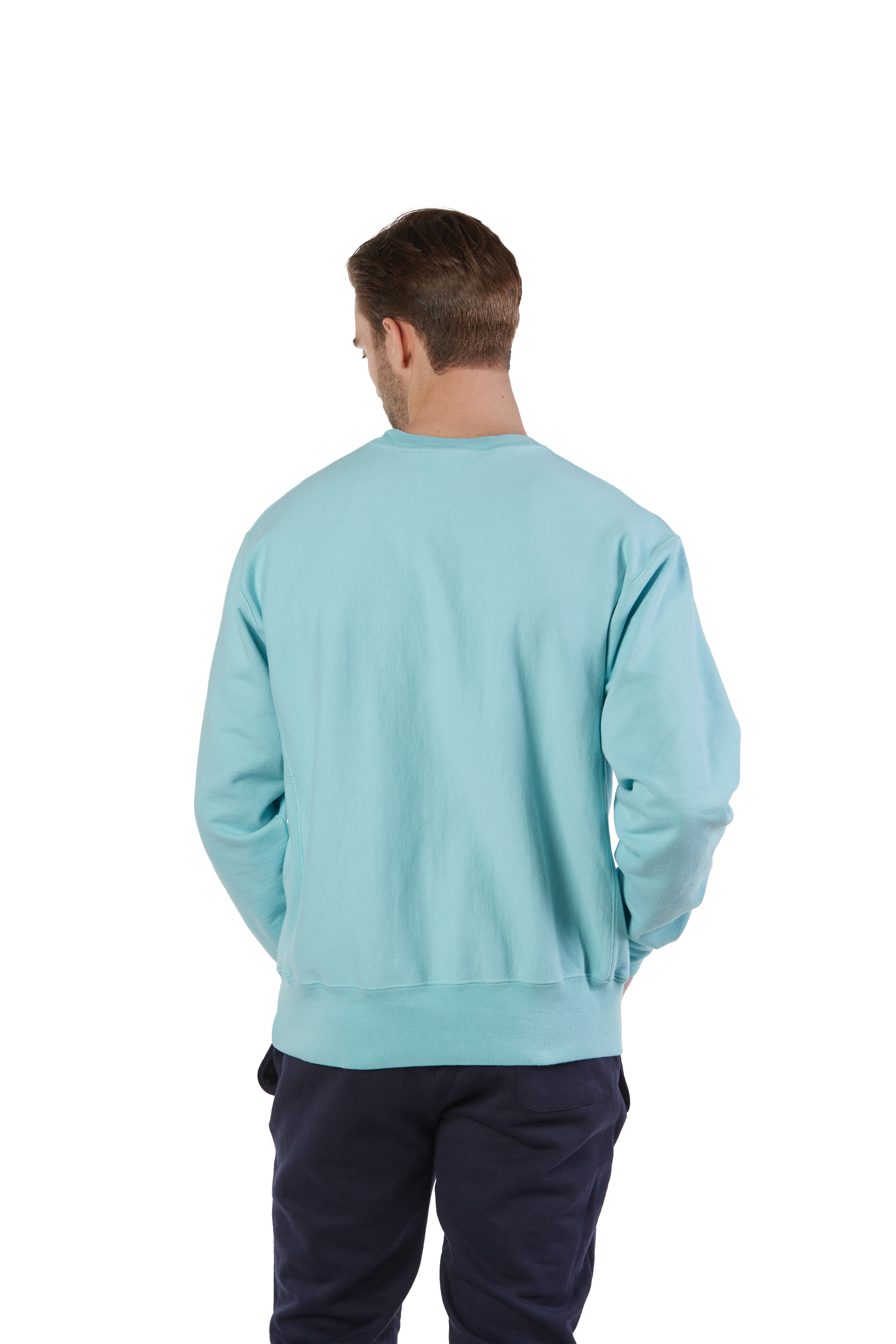 Champion GDS149 Paleseafm