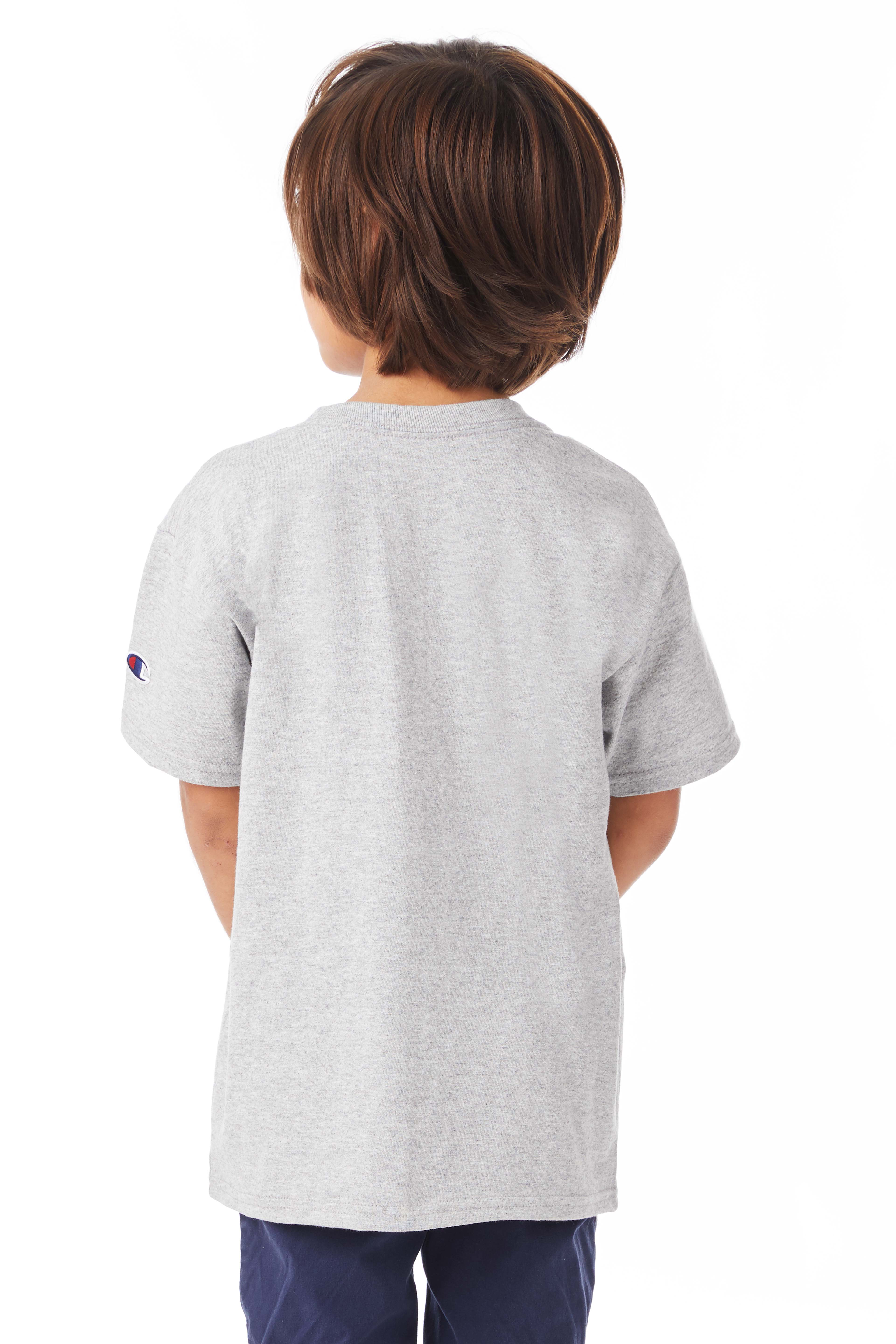 Champion T435 Light Steel