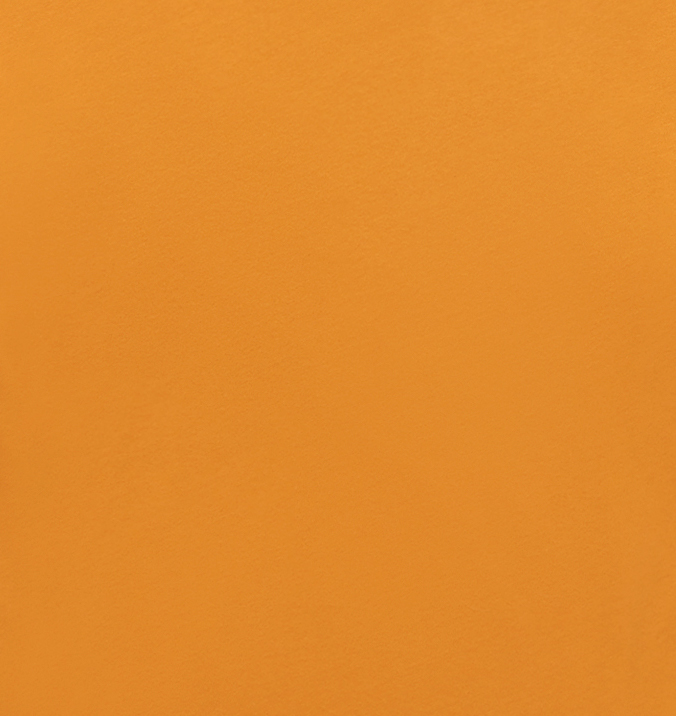 Alternative AA1070 Stay Gold