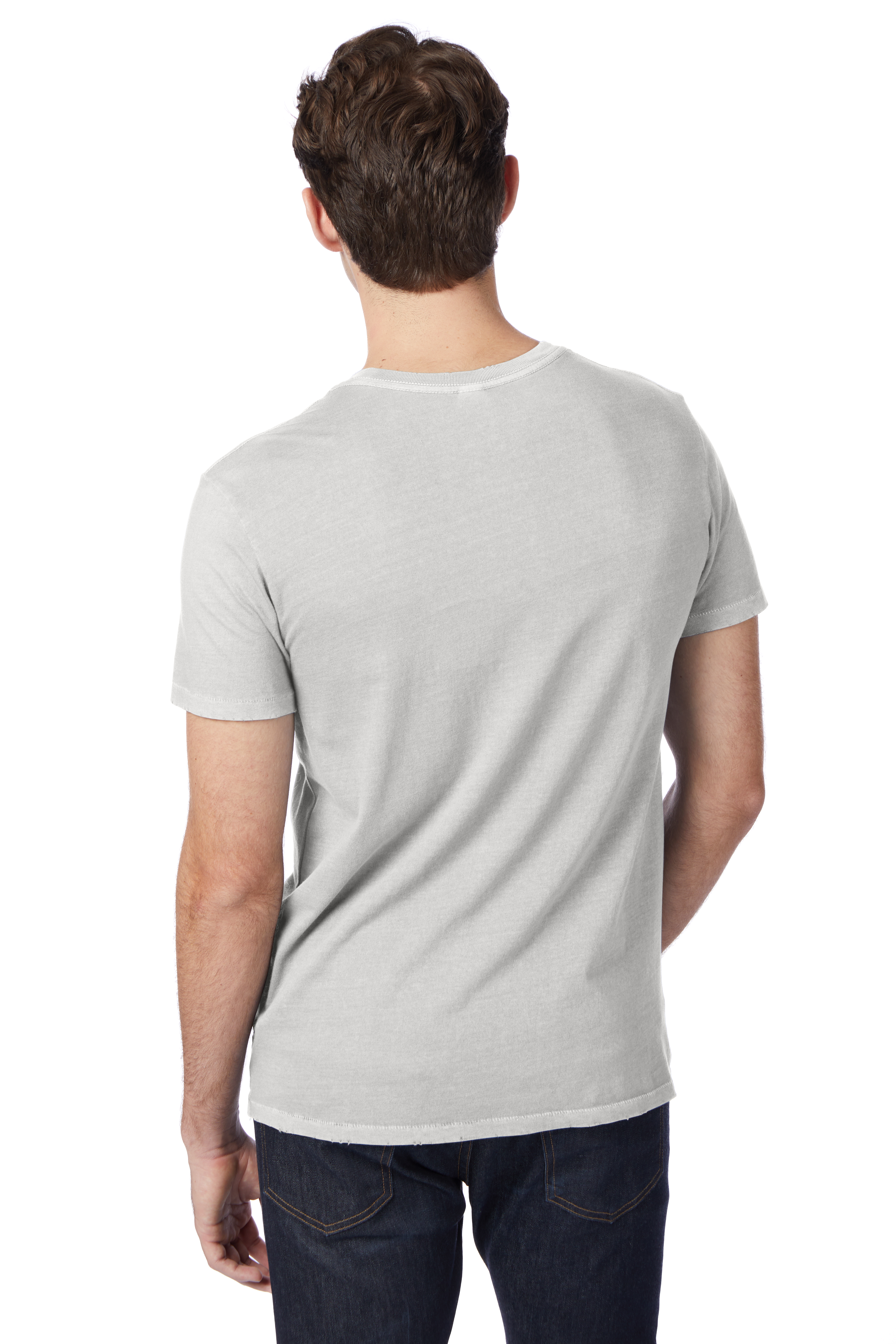 Alternative 04850C1 Gray Pigment