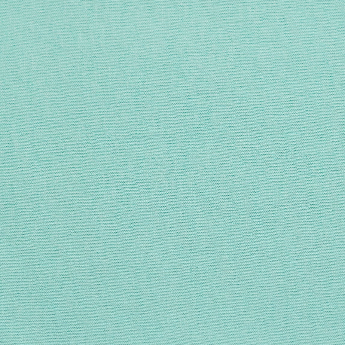 Hanes 5480 Clean Mint