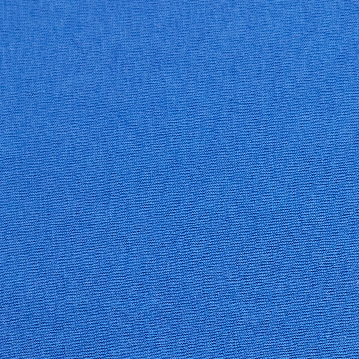 Hanes 5250T Palace Blue