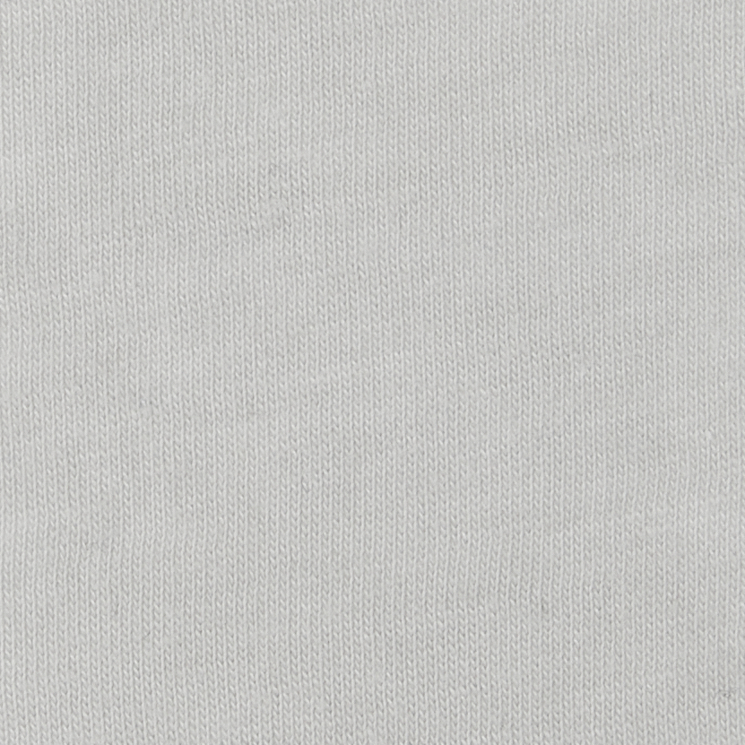 Bella + Canvas 3001CVC Heather Silver