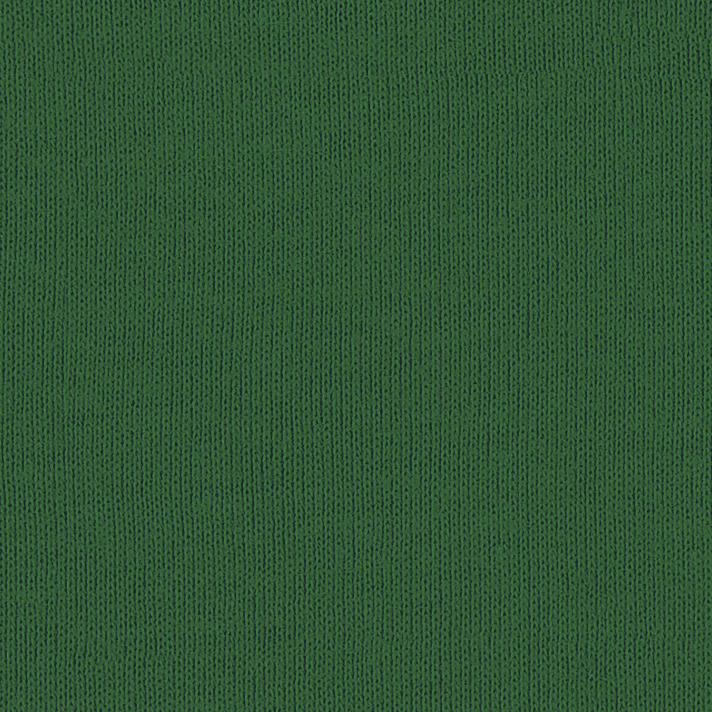 Bella + Canvas 6004 Kelly