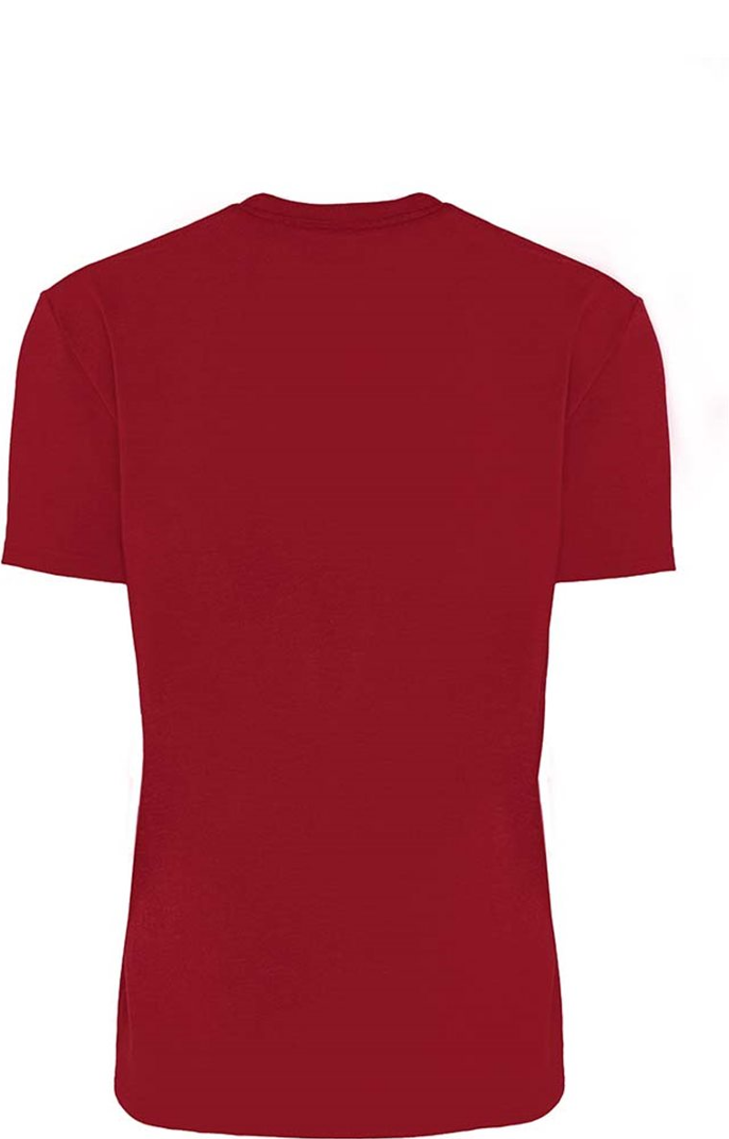 Next Level 4210 Cardinal