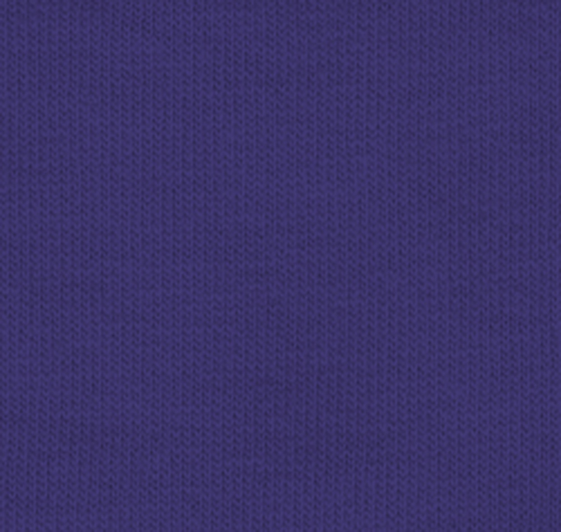 Gildan G500B Cobalt Purple