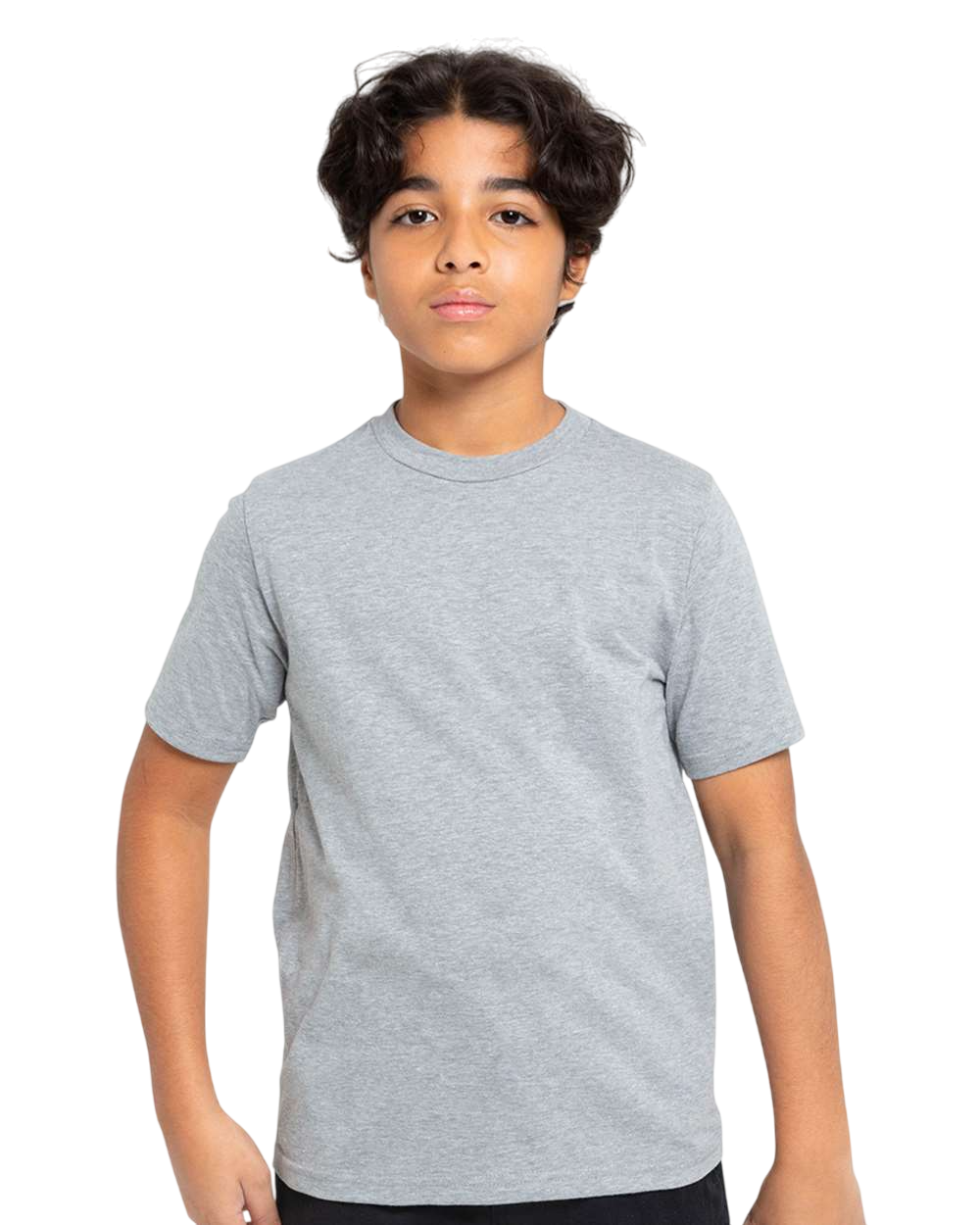 Threadfast Apparel T1000B Heather Grey