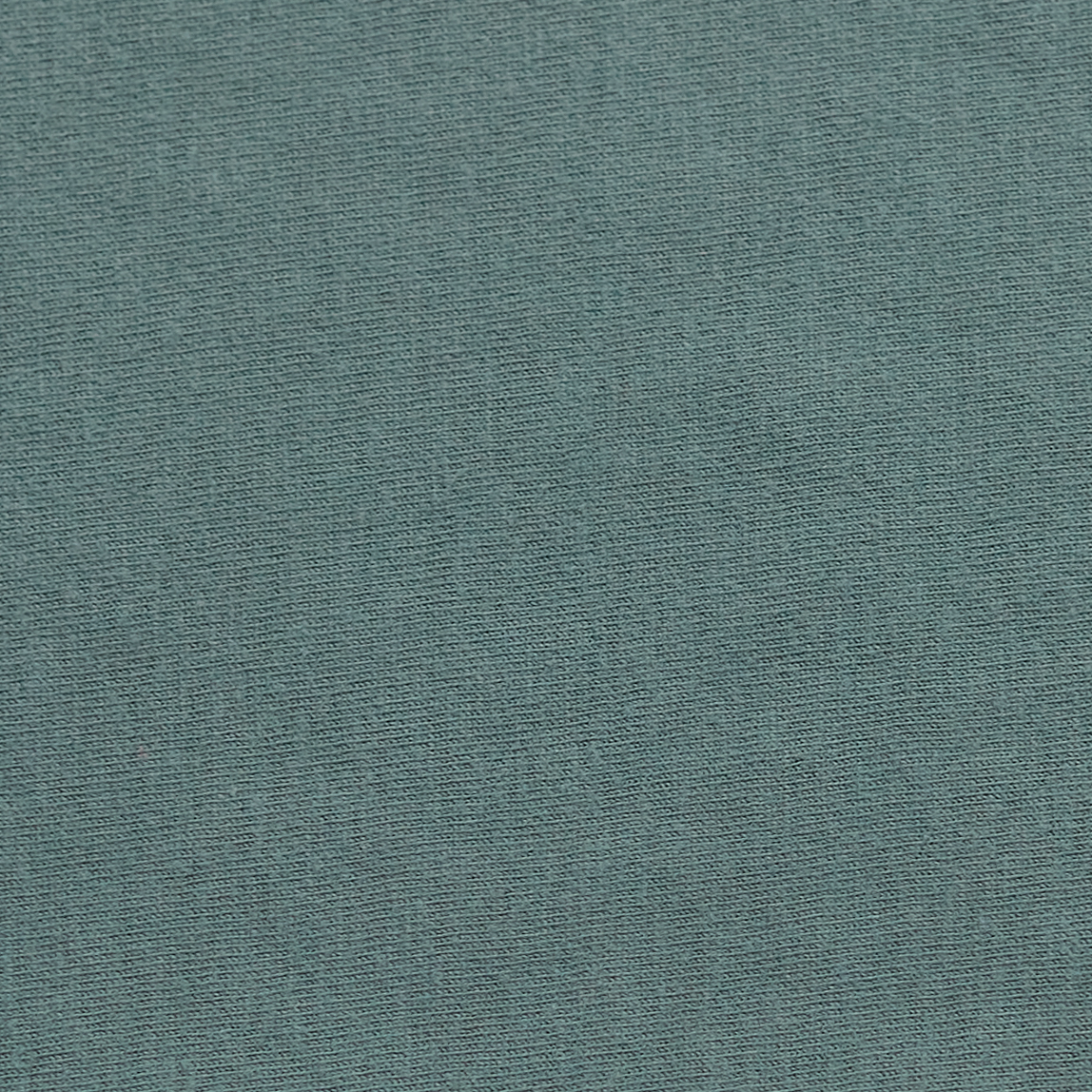 ComfortWash by Hanes GDH250 Cypress Green