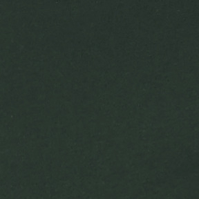 Bella + Canvas 3719 Forest