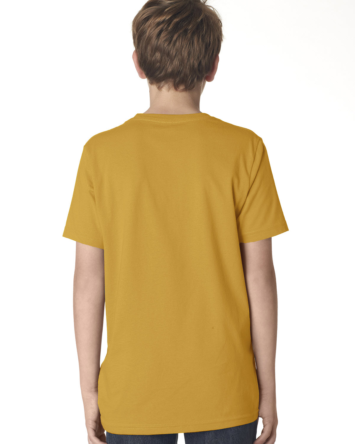 Next Level 3310 Antique Gold