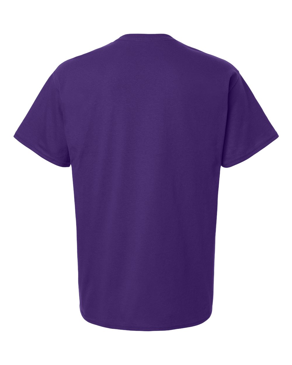 Champion CH1000 Champion Purple