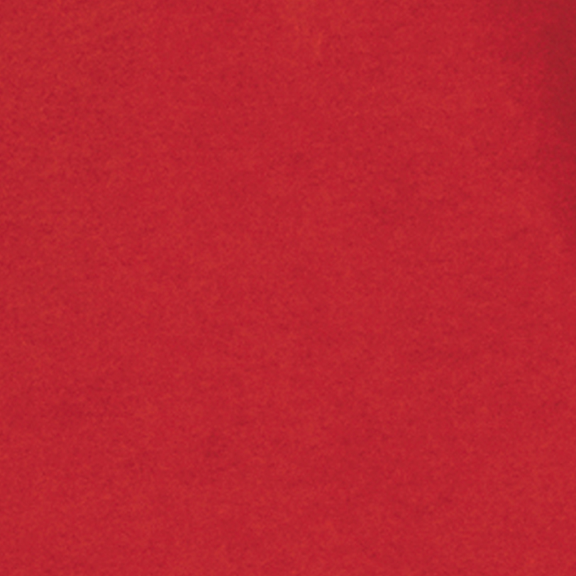 American Apparel AL1304 Cardinal