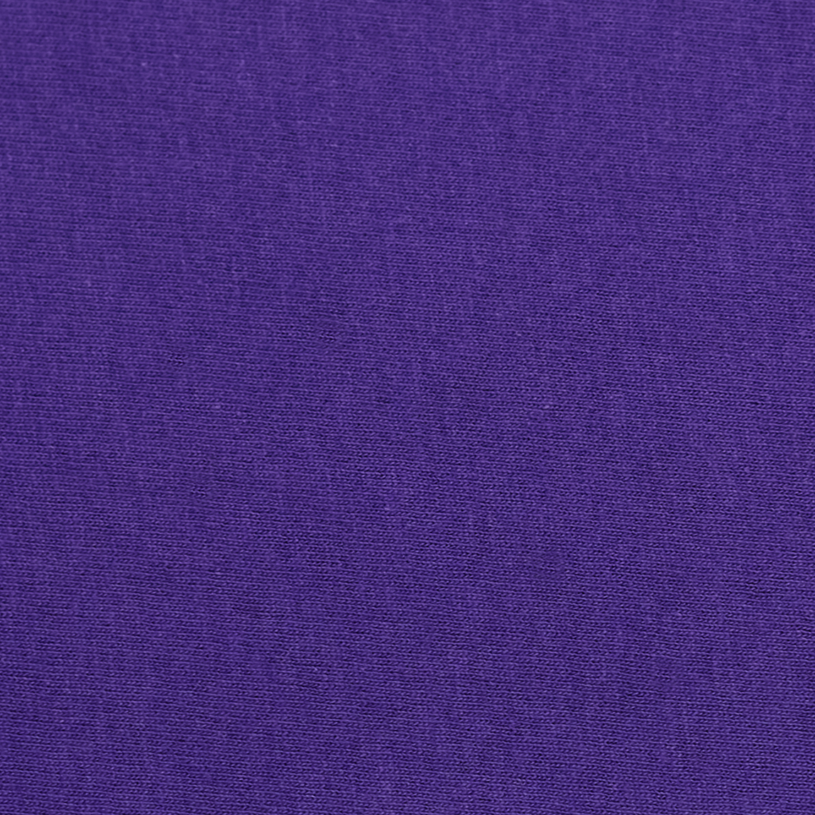 Hanes 5190P Purple