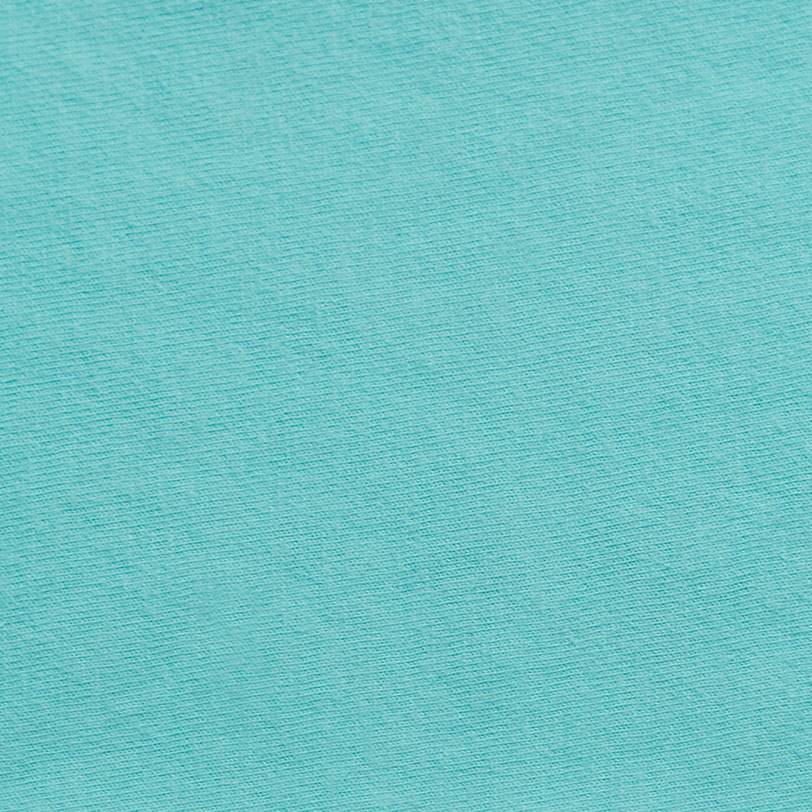 ComfortWash by Hanes GDH150 Mint