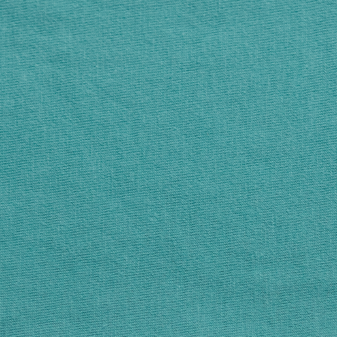 ComfortWash by Hanes GDH450 Spanish Moss