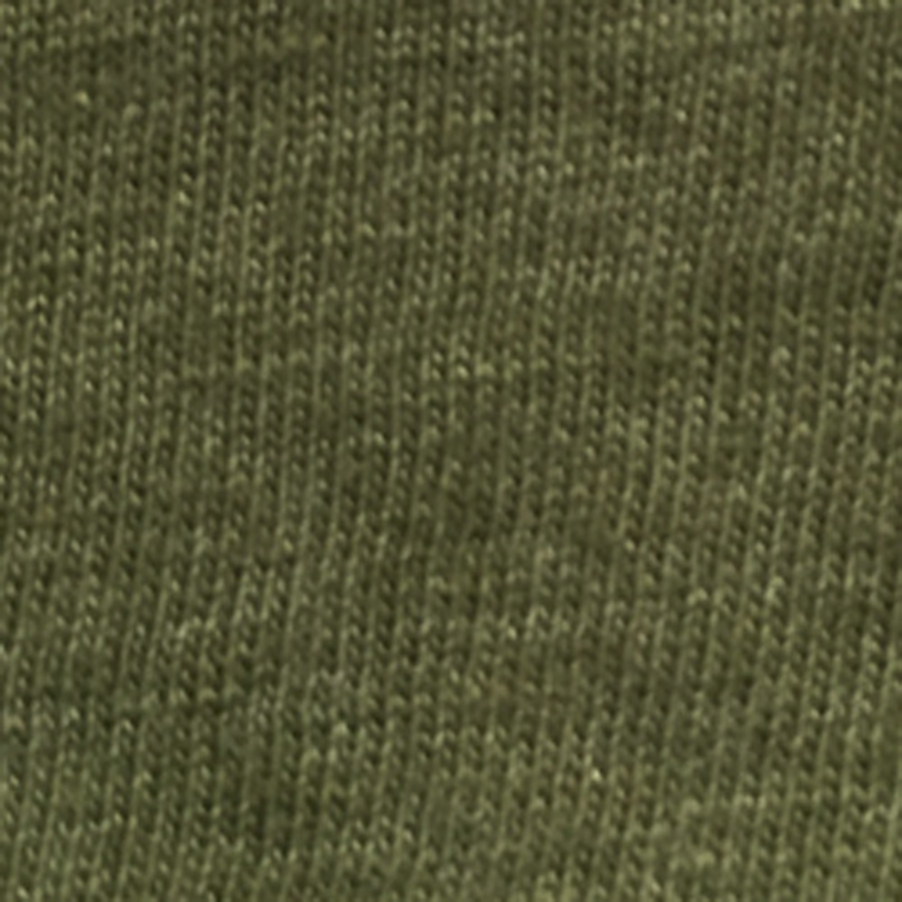 Gildan G640CVC Cactus