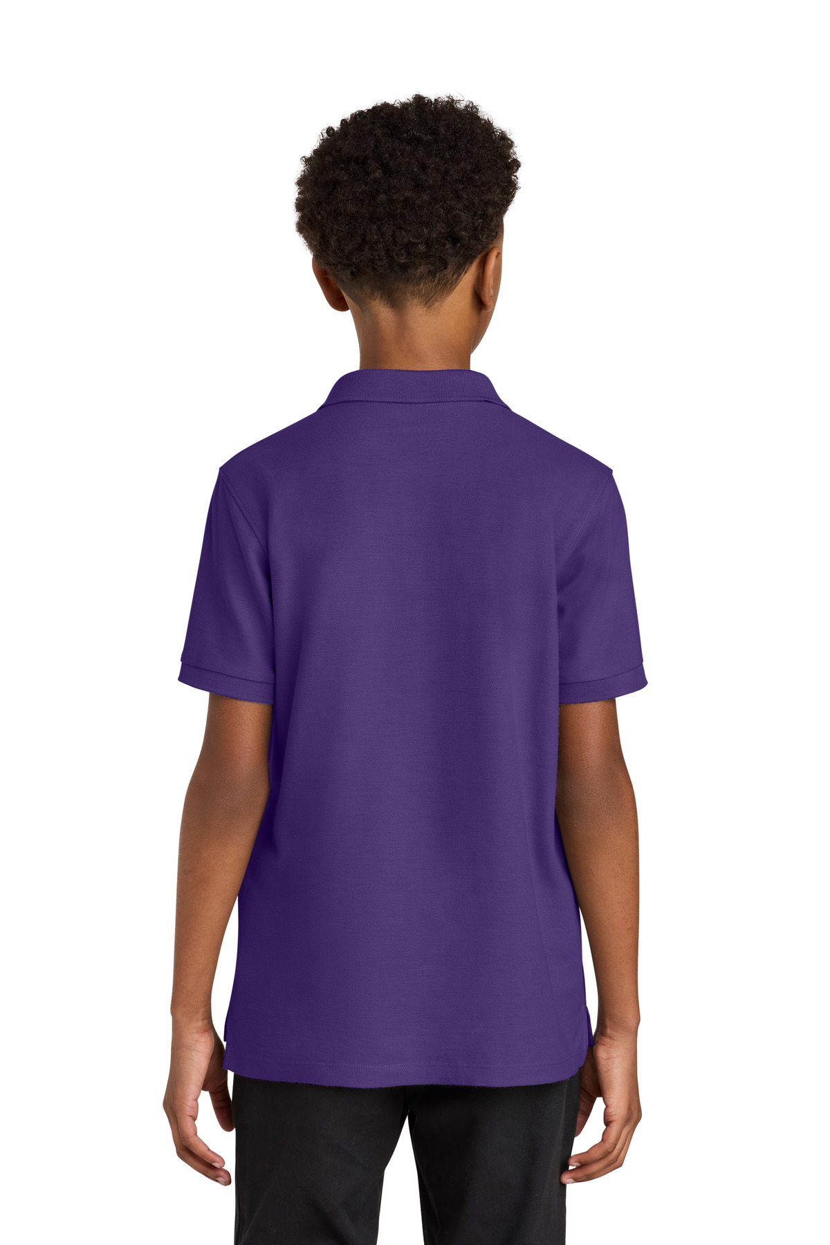 Picture for Prism Purple