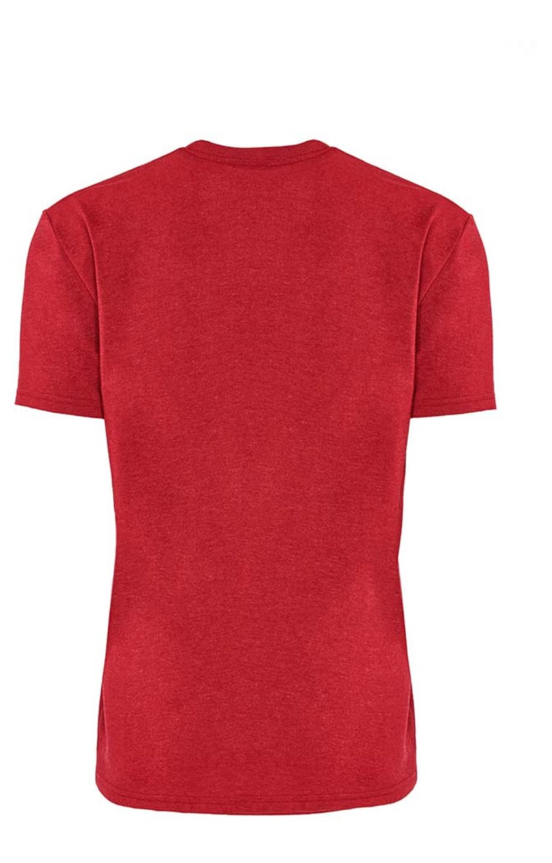 Next Level 4210 Heather Red