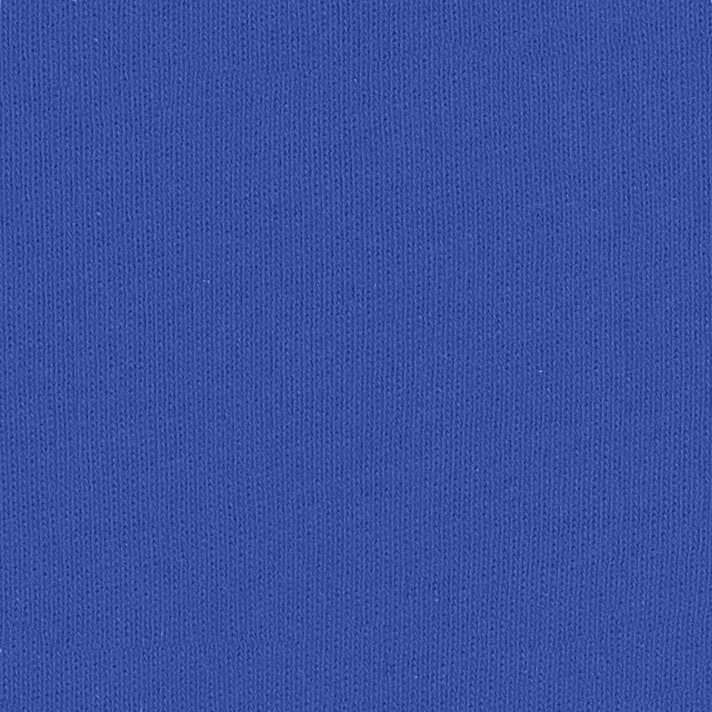 Bella + Canvas 6004 True Royal