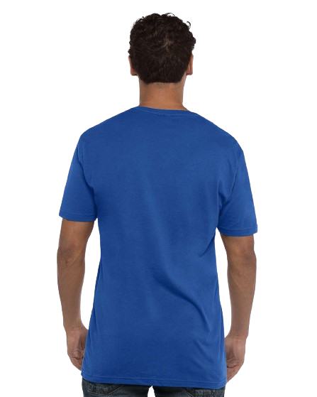 Next Level N3200 Royal