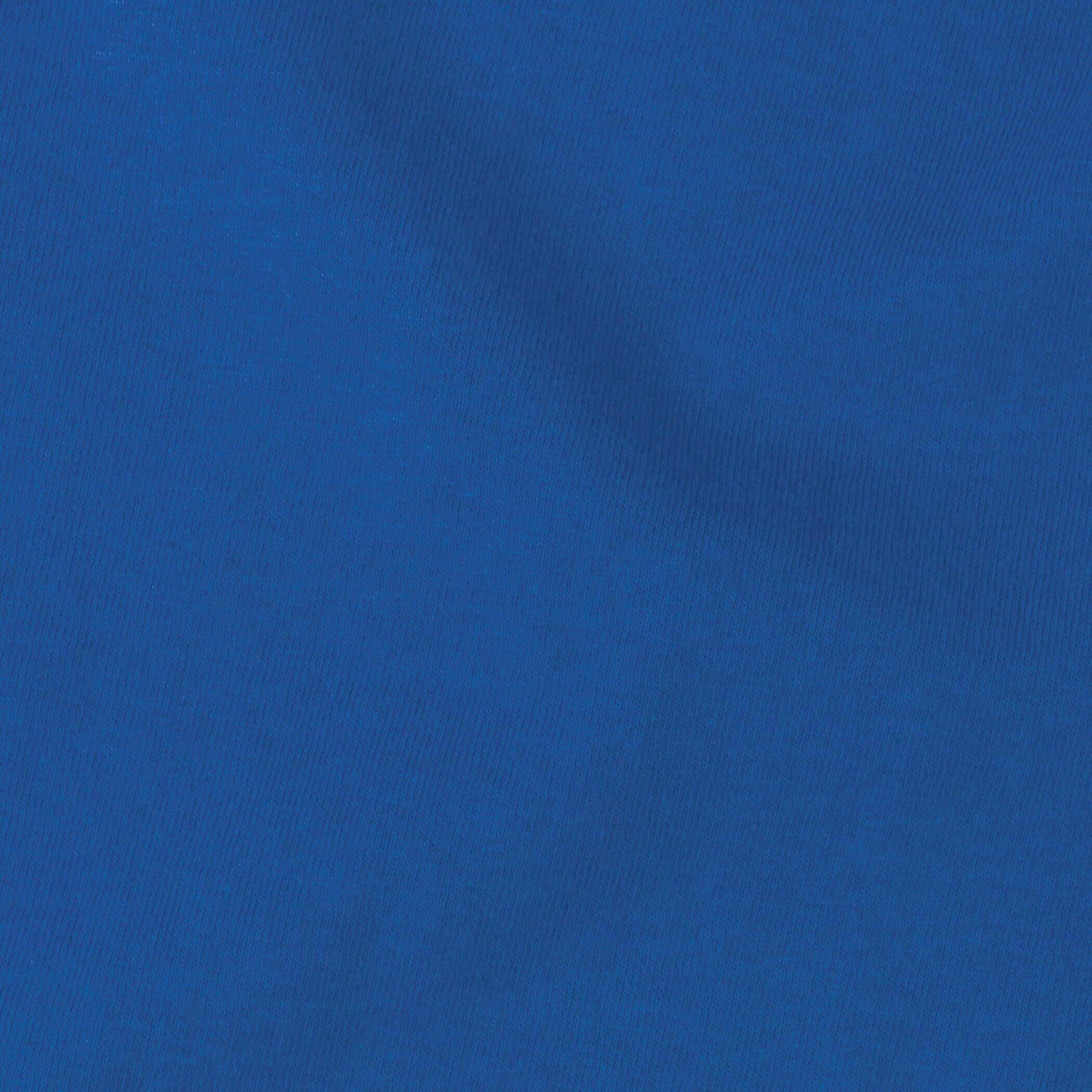 Fruit of the Loom IC47WR Royal