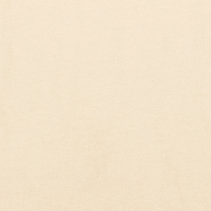 American Apparel 2001 Creme