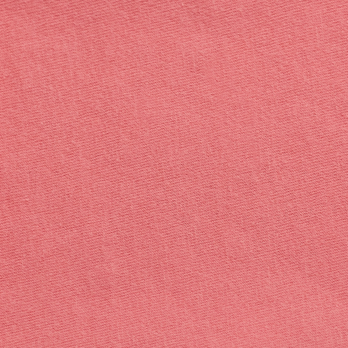 Champion GDS101 Coralcraze