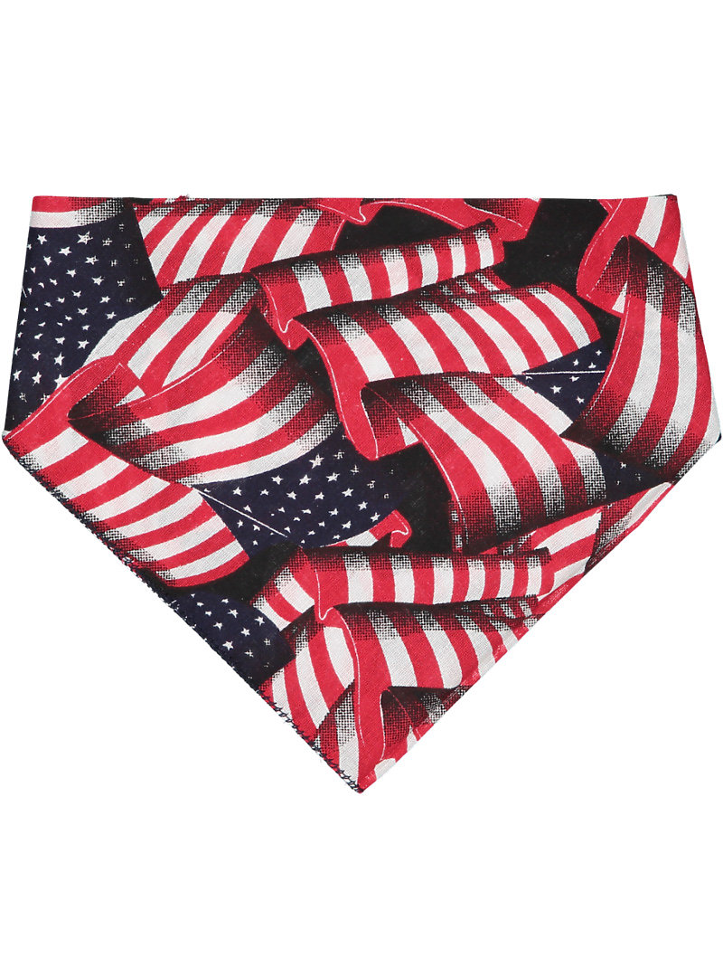 Picture for Flag Print