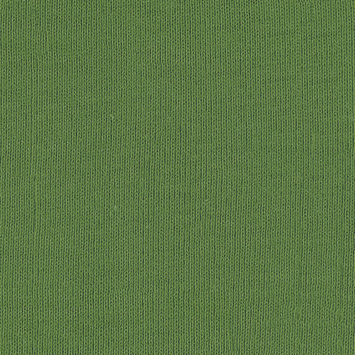 Bella + Canvas 4000 Leaf