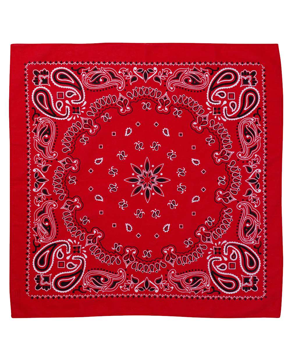 Picture for Red Paisley