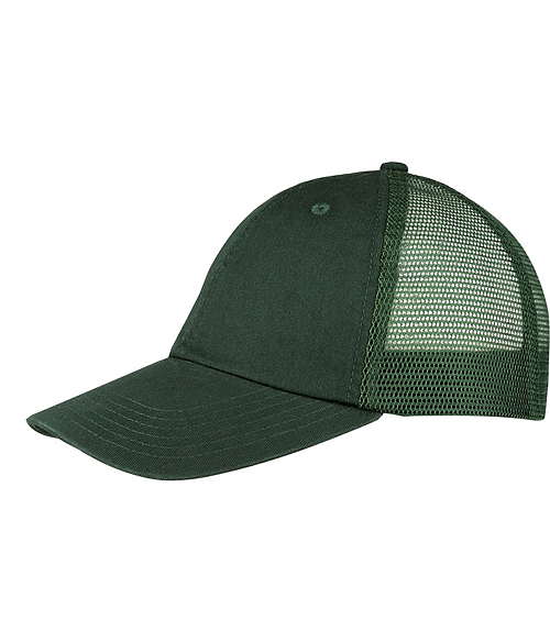 Picture for DARK GREEN