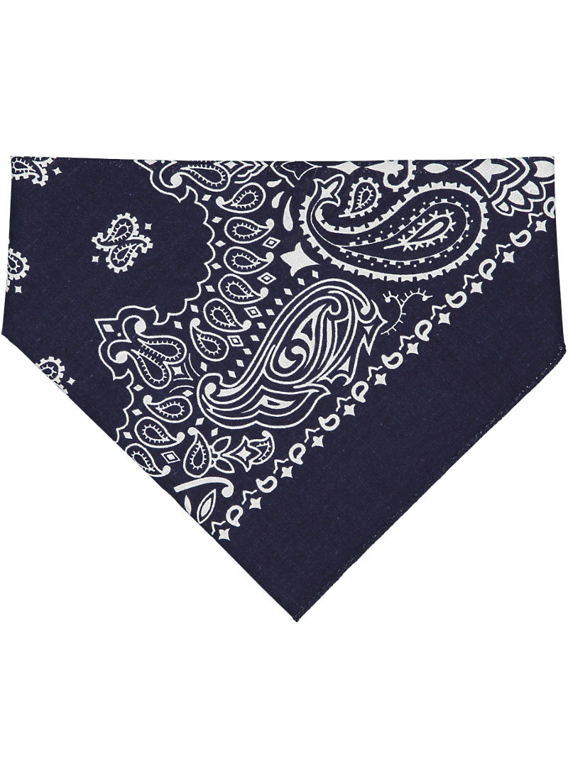 Picture for Navy Paisley