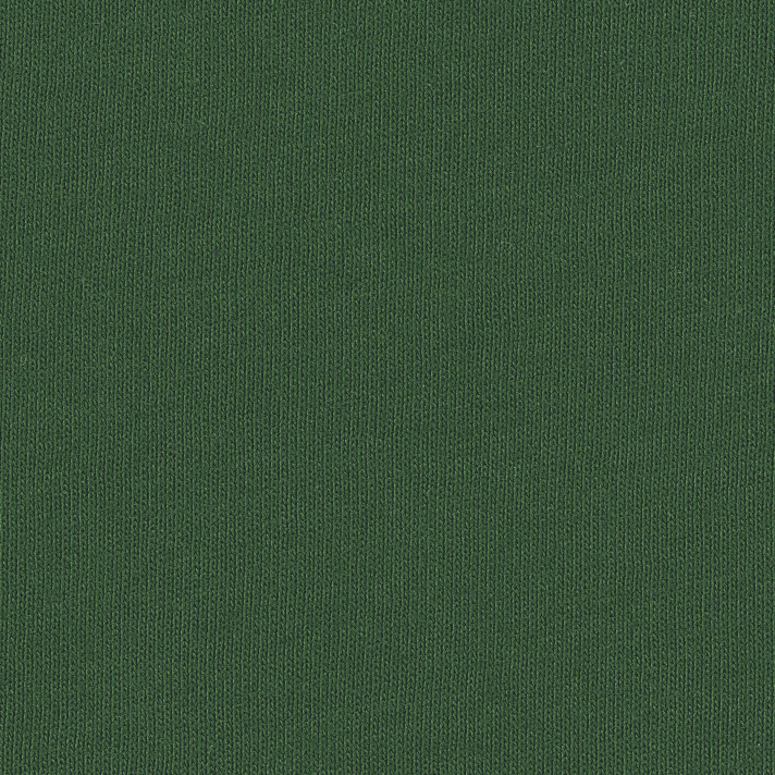 Bella + Canvas 3001C Evergreen