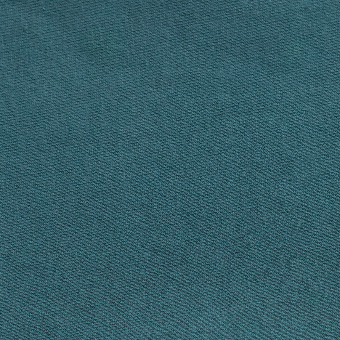 Champion CD400 Cactus