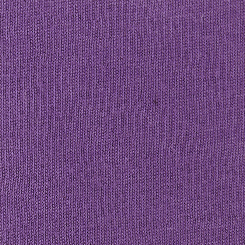 Bella + Canvas 3001Y Royal Purple