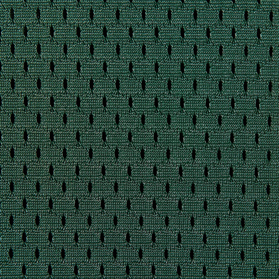 Champion 81622 Athletic Dark Green