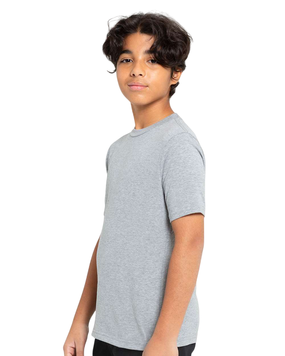 Threadfast Apparel T1000B Heather Grey